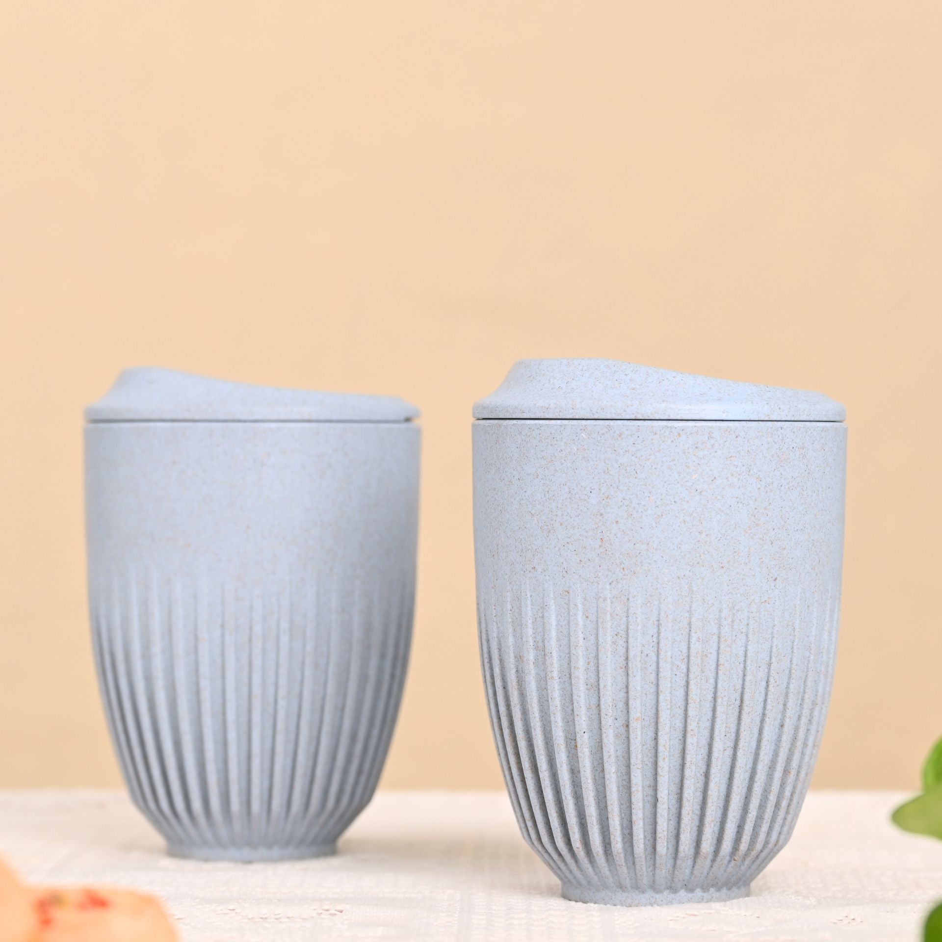 Retro Coffee Mugs with Lids – Set of 2 (350ml)