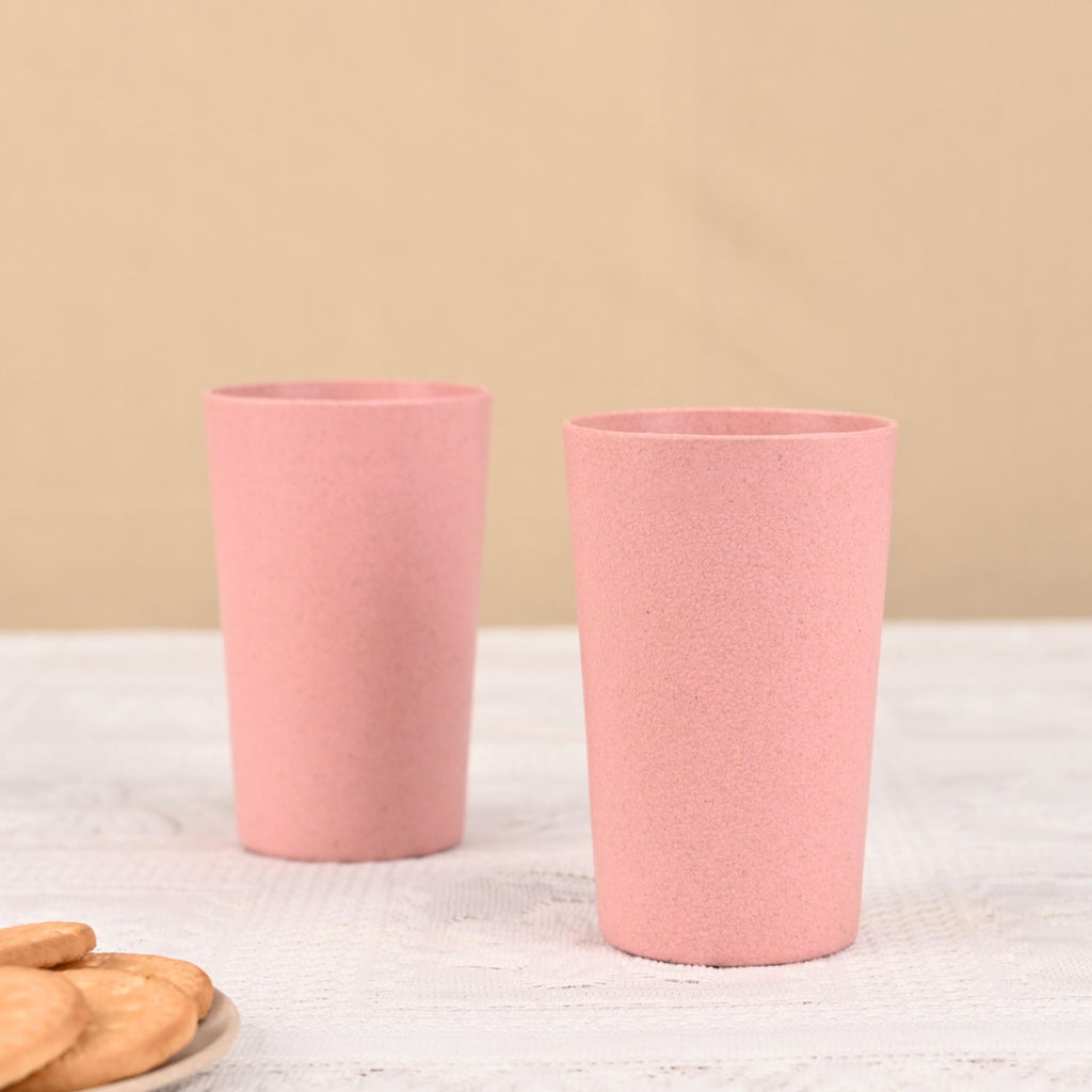Frosted Eco Tumblers – Set of 2 (250ml)