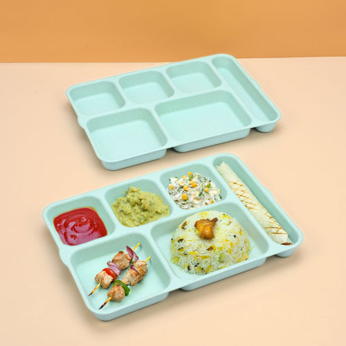 Eco 6-Partition Dinner Plates – Set of 2 (14-inch)
